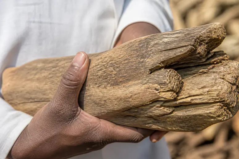 Bûches de bois dur séché prêtes pour le chauffage de la maison