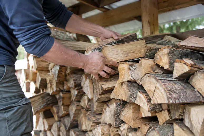 Bûches de bois de chauffage Moselle empilées soigneusement dans un abri